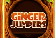 Ginger Jumpers