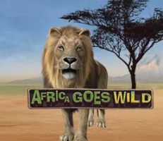 Africa goes Wild Slot Logo