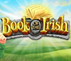 Book of the Irish Logo