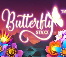 Butterfly Staxx