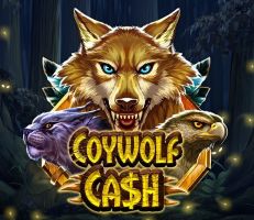 Coywolf Cash