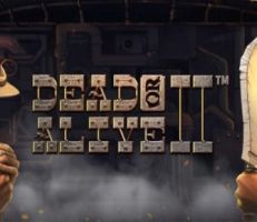 Dead or Alive 2 Slot Logo