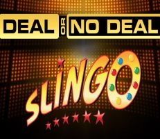 Deal or No Deal Slingo