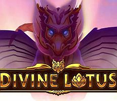 Divine Lotus Logo