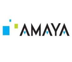 Erfolgreiches Jahr für Amaya