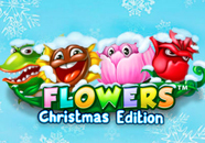 Flowers Christmas Edition