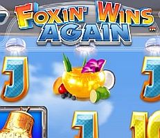 Foxin Wins Again