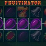 Fruitinator Gewinn