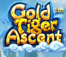 Gold Tiger Ascent