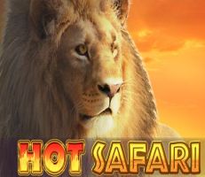 Hot Safari