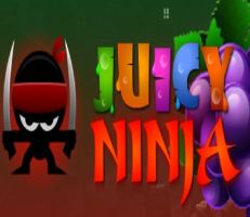 Juicy Ninja Slot Logo