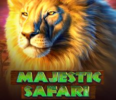 Majestic Safari