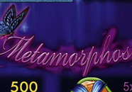 Metamorphosis