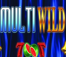 Multi Wild