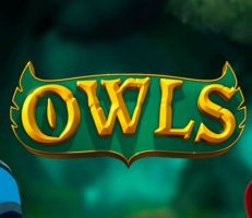 Owls Slot Logo