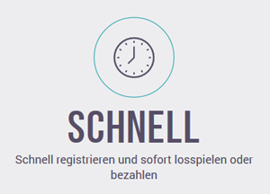 Skrill Schnell