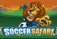 Soccer Safari