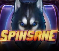Spinsane Logo