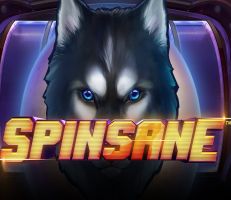 Spinsane