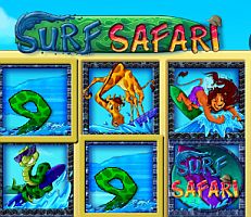 Surf Safari