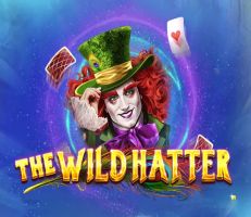 The Wild Hatter