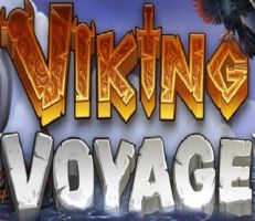 Viking Voyage Slot Logo