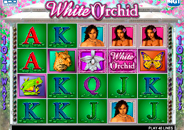 online casino review spiele king com online casino review spiele king com