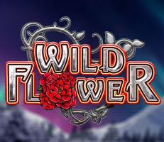 Wild Flower