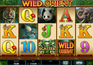 Wild Orient