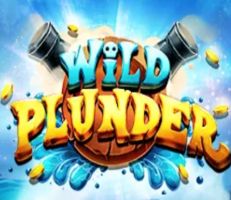 Wild Plunder