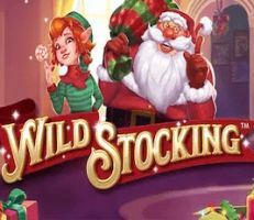 Wild Stocking Slot Logo