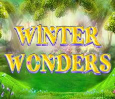 Winter Wonders